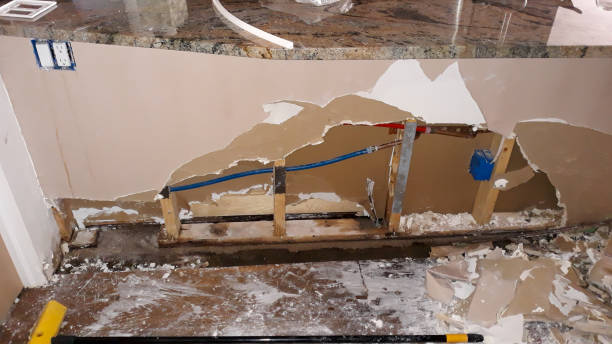 Best Fire Damage Restoration  in Jonesboro, LA