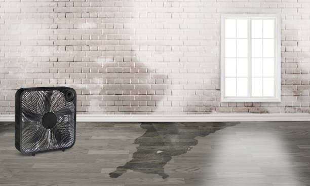  Jonesboro, LA Water damage restoration Pros