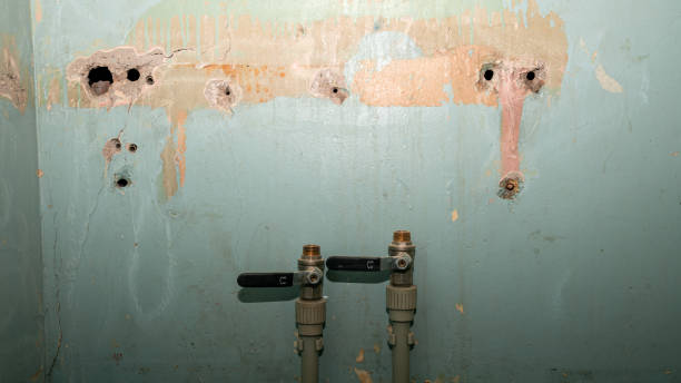 Best Commercial water damage restoration  in Jonesboro, LA