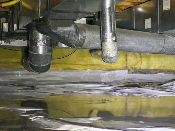 Best Water damage restoration mold remediation  in Jonesboro, LA