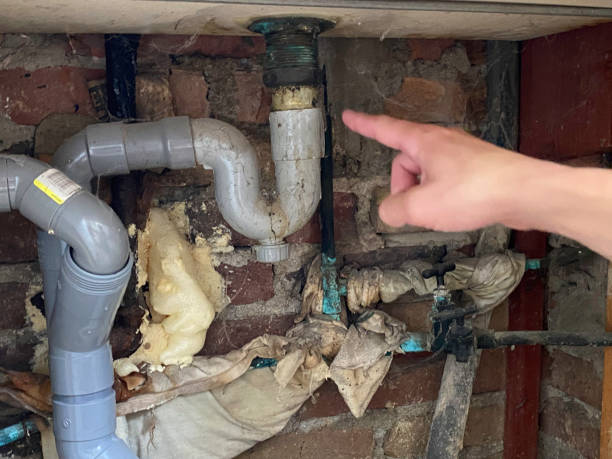 Best Flooded house restoration  in Jonesboro, LA