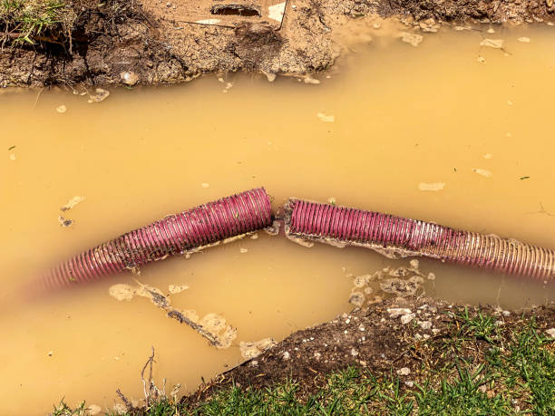 Best Water damage cleanup near me  in Jonesboro, LA