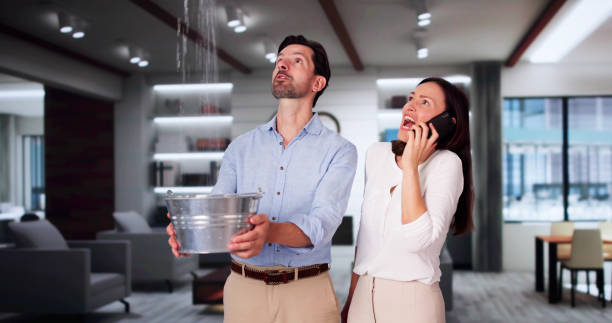 Best Water damage contractors near me  in Jonesboro, LA
